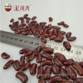 nome científico de feijão grande tamanho de alta qualidade feijão vermelho escuro 180-200pcs / 100g